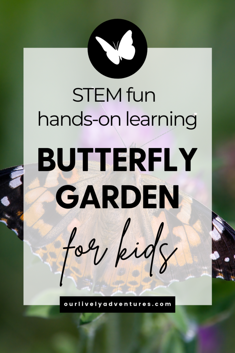 Butterfly Garden for Kids