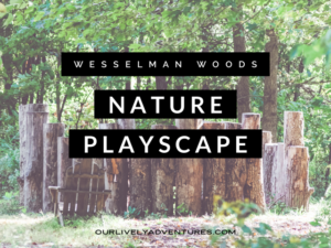 Plan A Trip To Wesselman Woods Nature Playscape