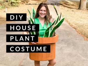 How To Make A DIY House Plant Costume