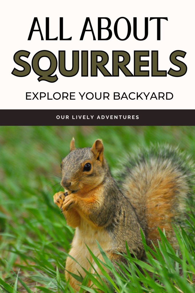 Fun Facts About Squirrels: Explore Your Backyard Series - Our Lively