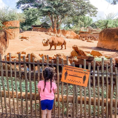 Honolulu Zoo