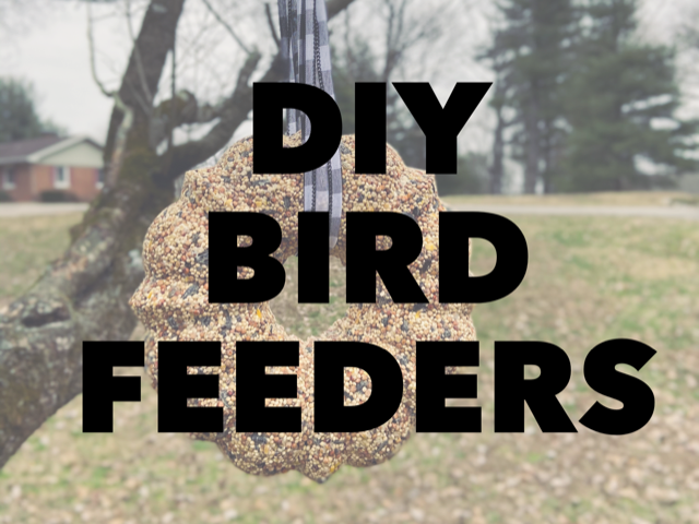 How To Make Bird Feeders