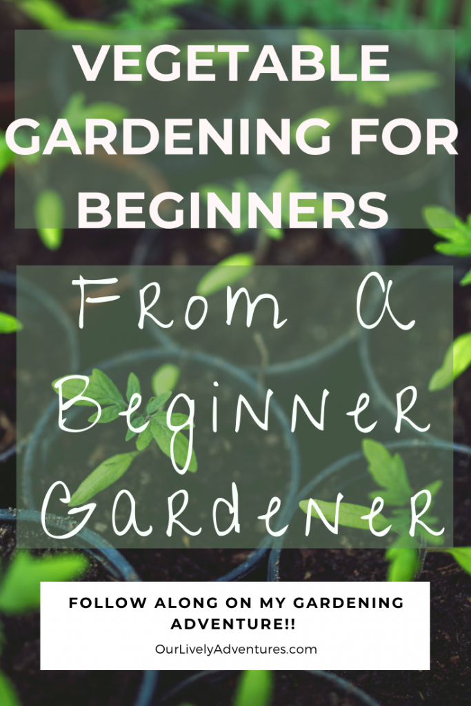 Vegetable Garden for Beginners