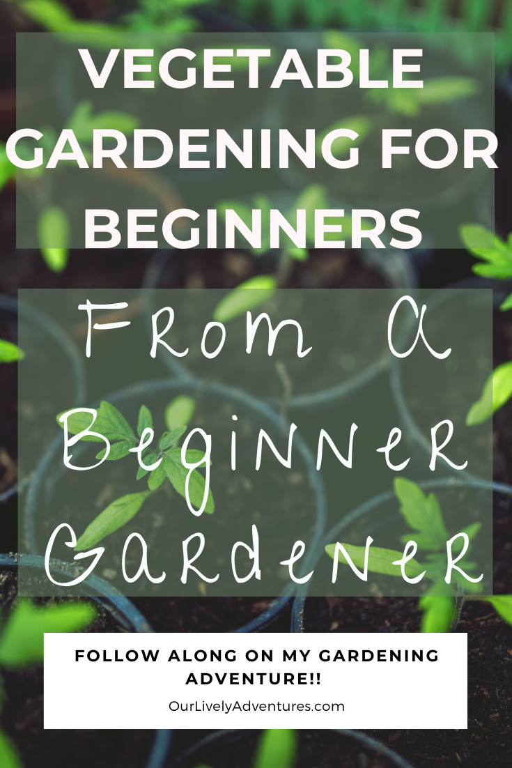 Vegetable Gardening For Beginners: My Gardening Adventure - Our Lively ...