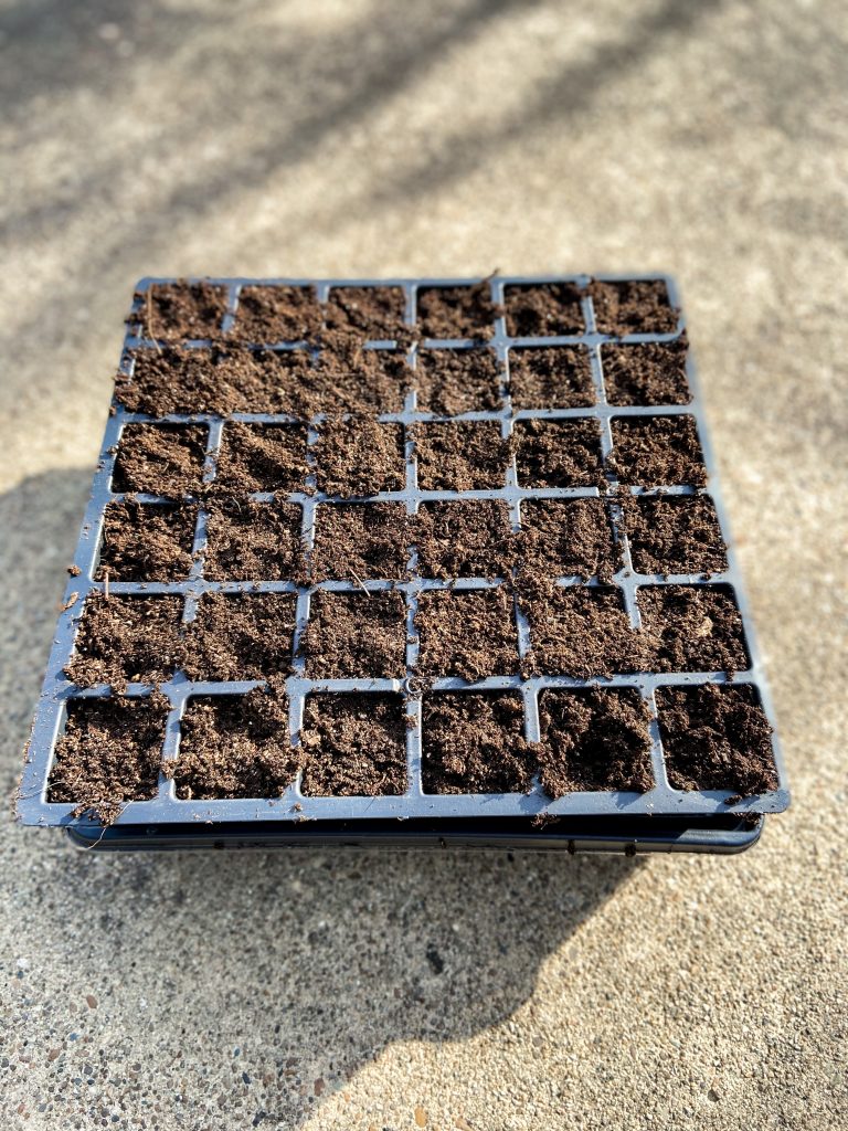 Seed Starting