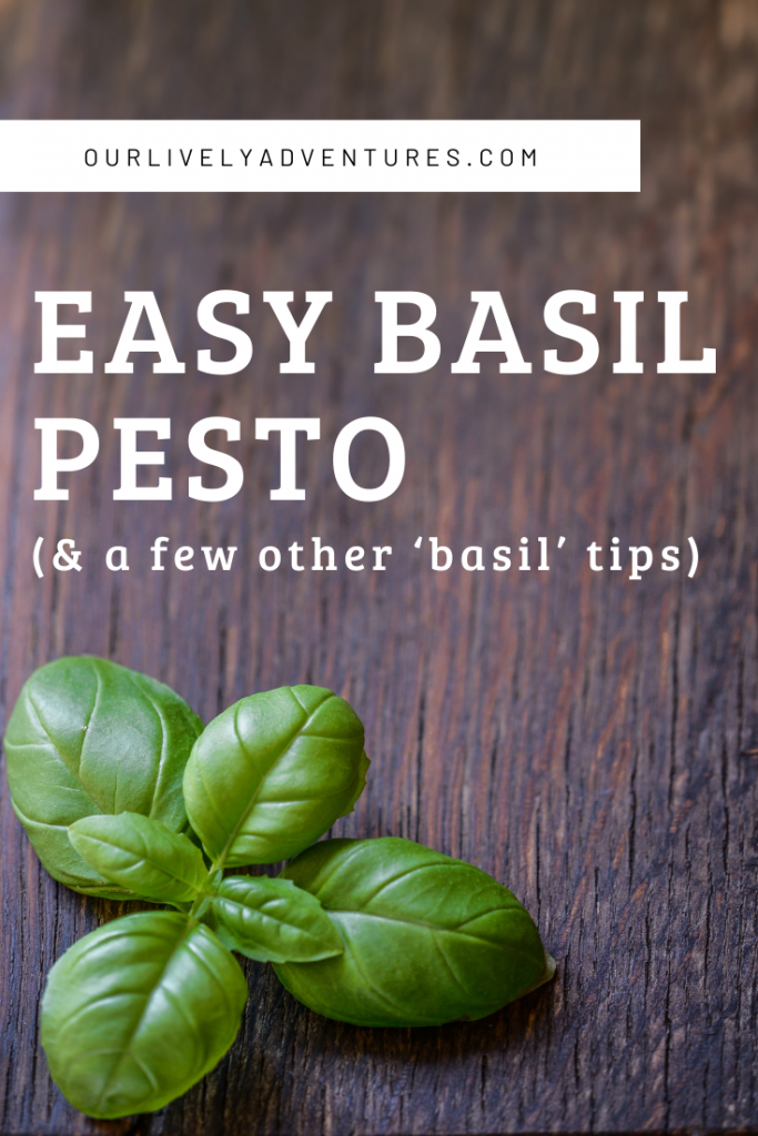 Easy Basil Pesto Recipe + Other Basil Tips