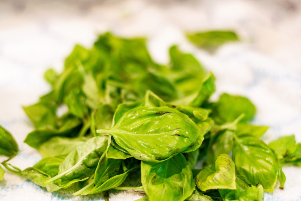 Fresh Basil