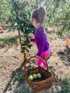 Reese Picking Apples