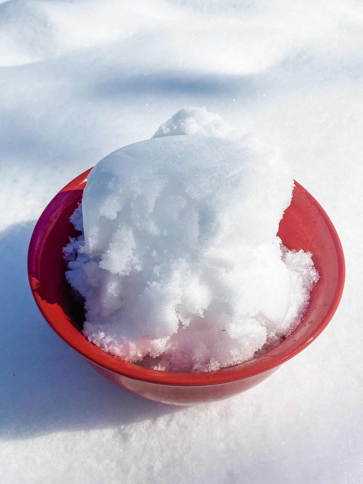 Fresh Snow for Snow Ice Cream