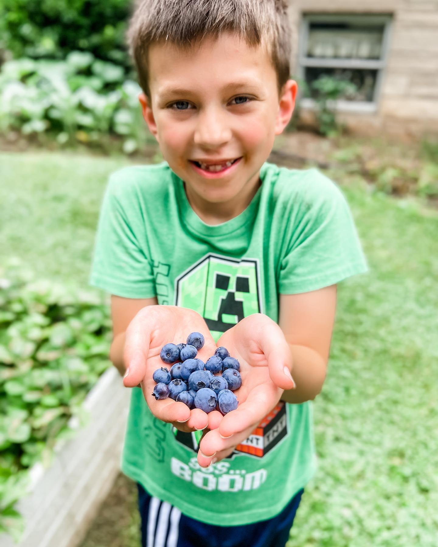 Wyatt Blueberry Picking