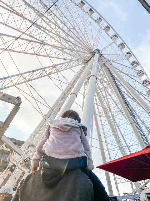 The Wheel in St. Louis