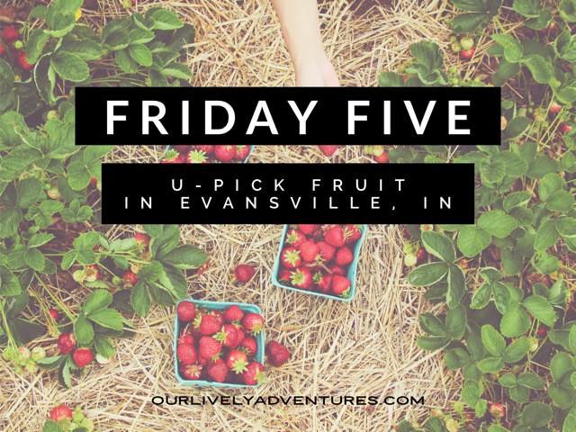 U-Pick Fruit in Evansville, IN: The Freshest Berries/Apples/Peaches in Town!