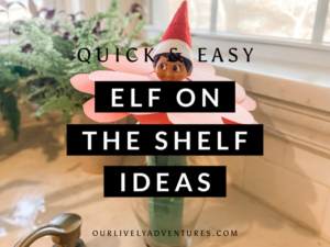 22 Quick And Easy Elf On The Shelf Ideas