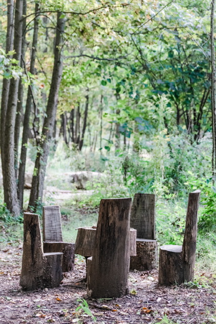 Wesselman Woods Nature Playscape