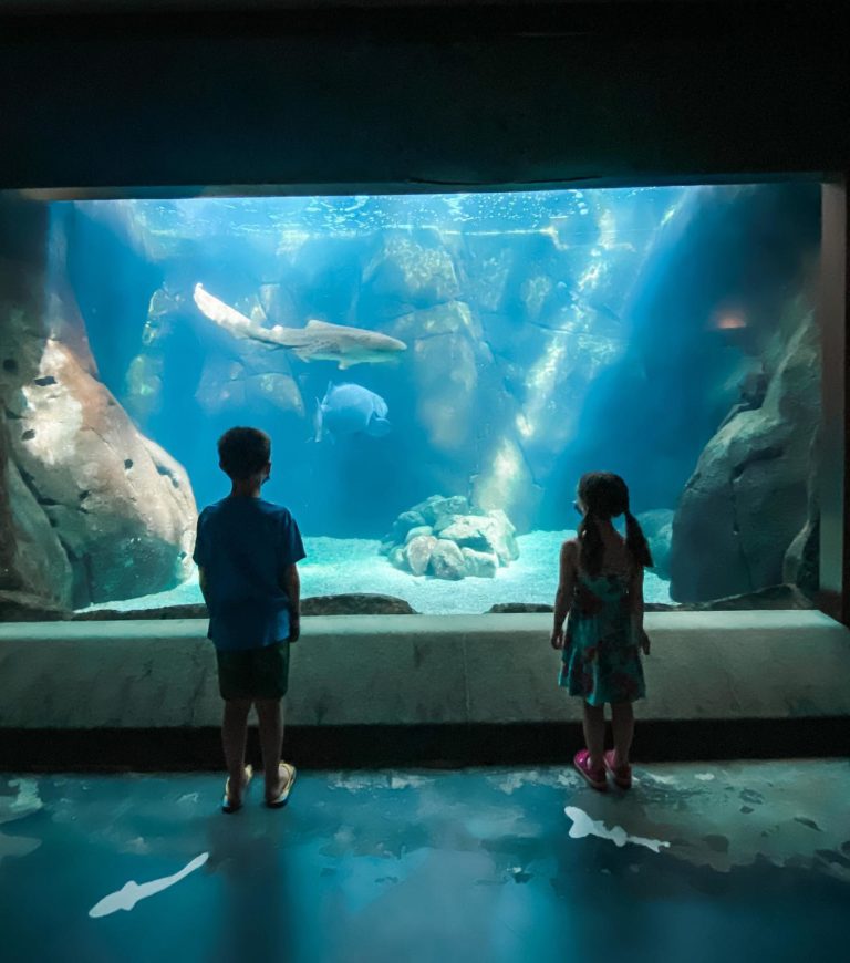 Waikiki Aquarium