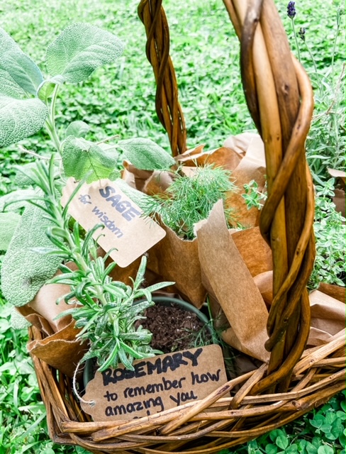 Fresh Herbs Rosemary