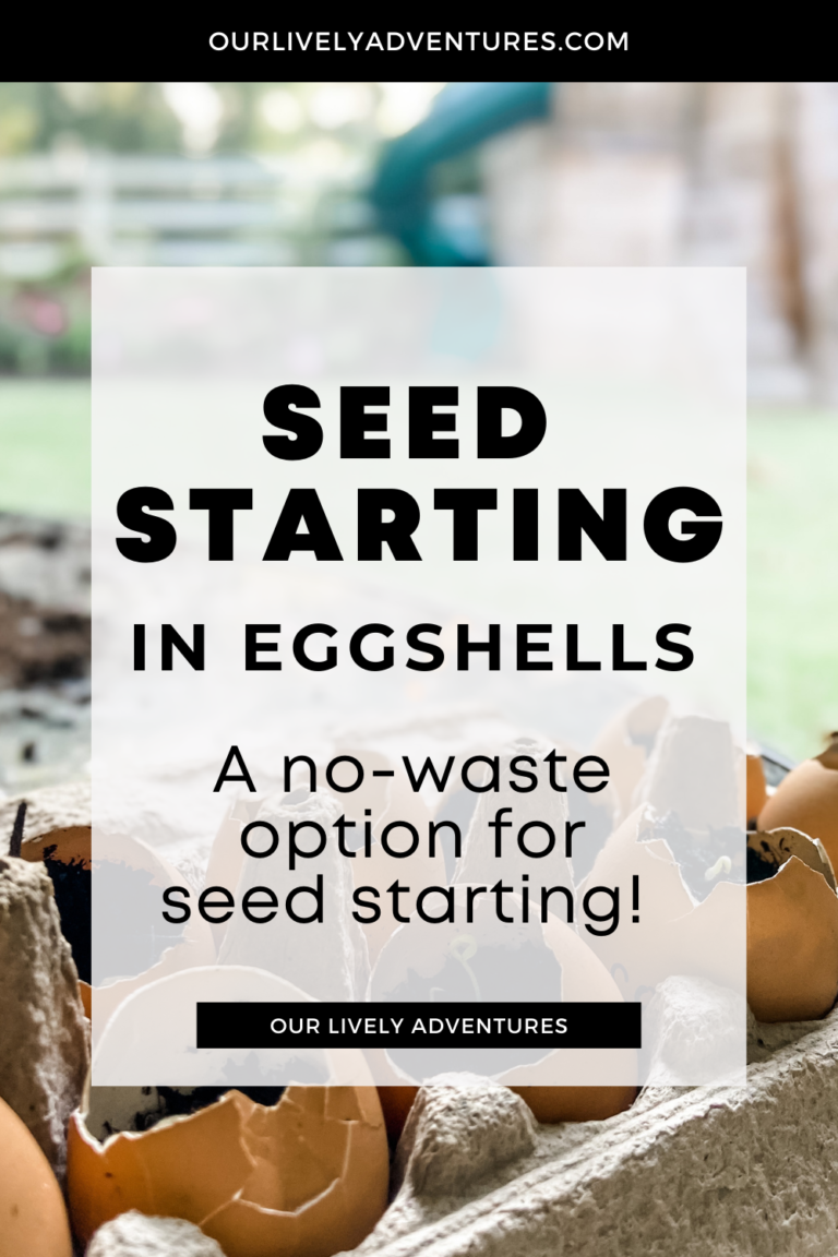 How To Start Seeds In Eggshells