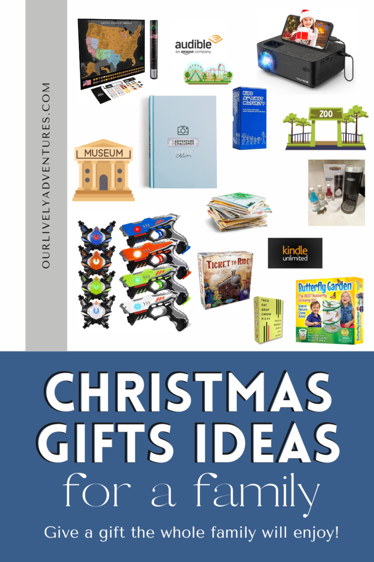 christmas gifts for a family