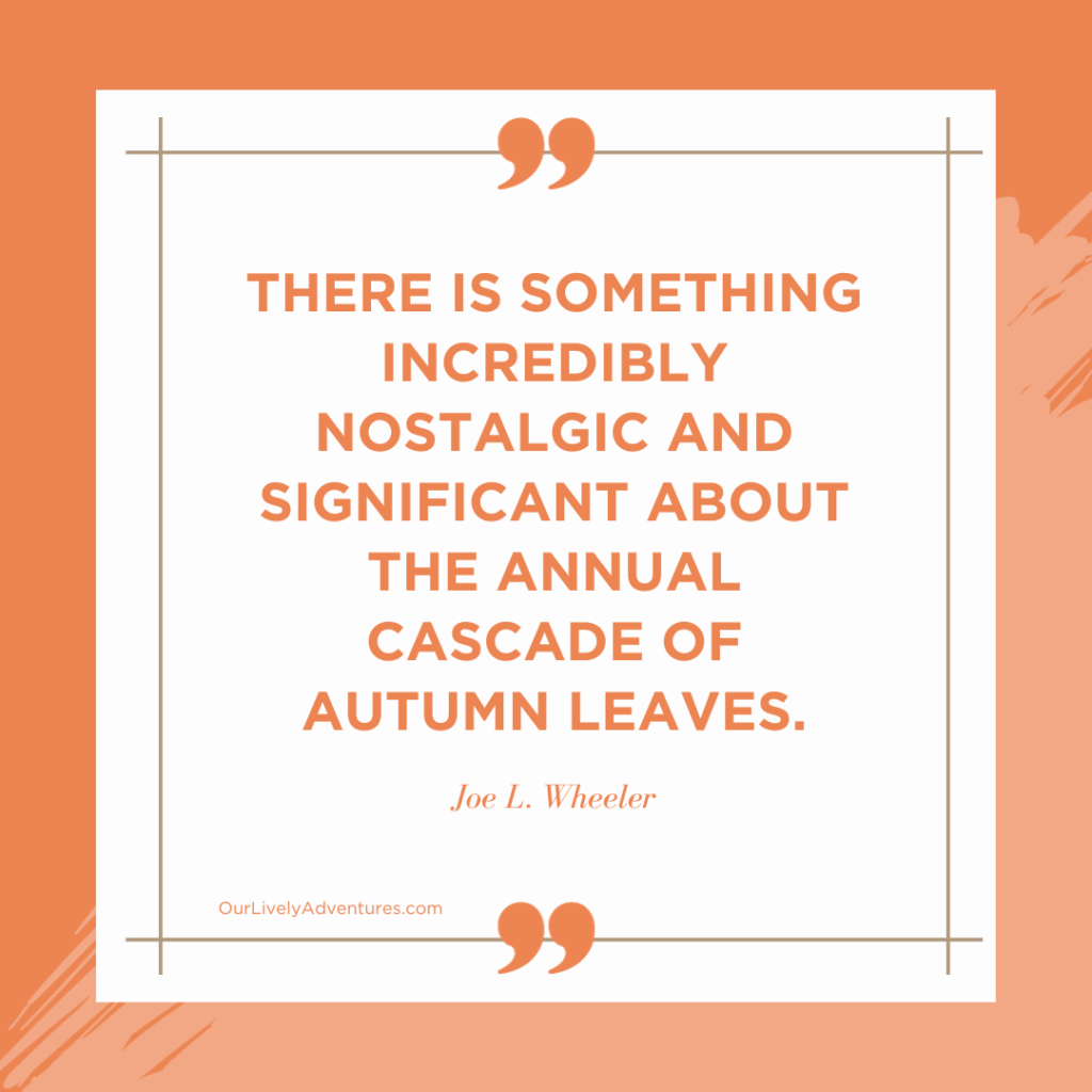 Quotes For Fall