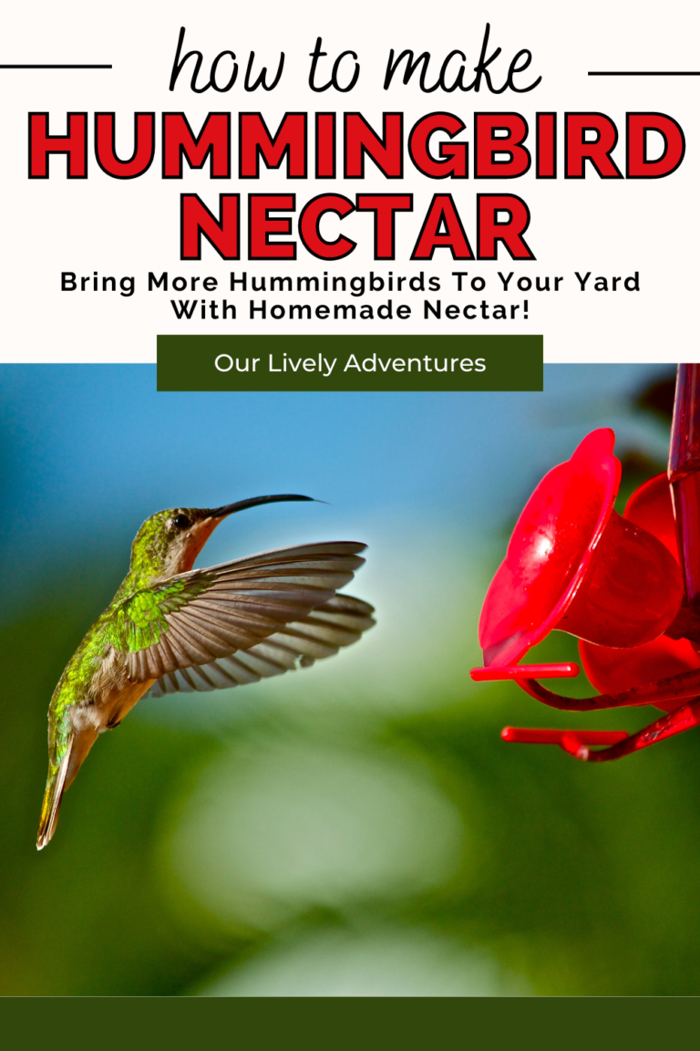 how to make hummingbird nectar